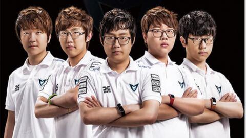 拒绝触碰珊 拒绝触碰珊